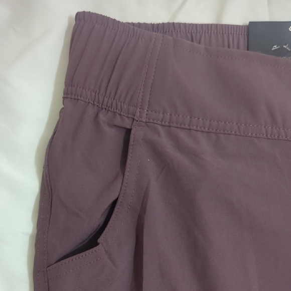NWT Eddie Bauer Traveler Ankle Pant, Color People Size 2X - Picture 6 of 15